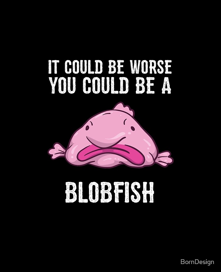 It Could Be Worse You Could Be A Blobfish Meme | Postcard