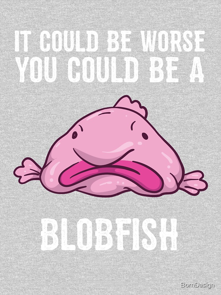 It Could Be Worse You Could Be A Blobfish Meme | Poster