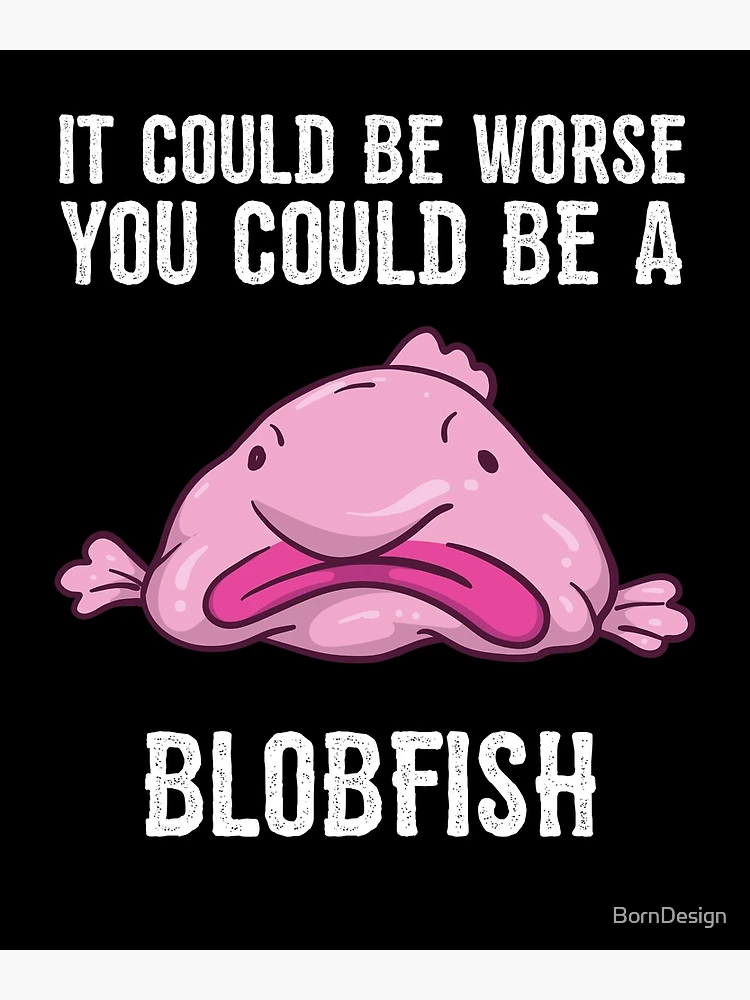 Image tagged in blobfish - Imgflip, blob fish meme 