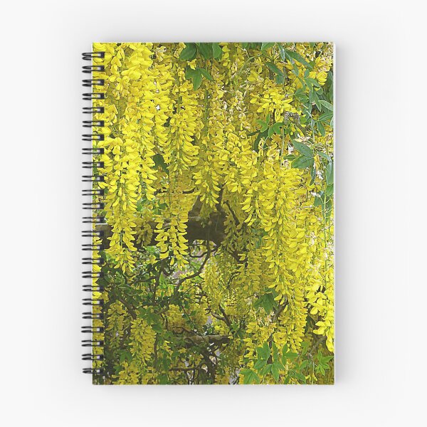 Item preview, The Beauty Of Laburnum designed and sold by Fara.
