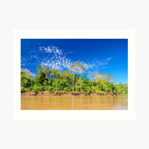 Amazon Riverfront Jungle Art Print