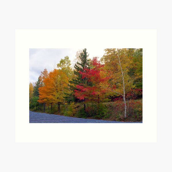 Item preview, Fall Foliage- Door County Wisconsin designed and sold by StonePics.