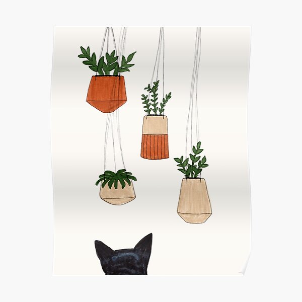 Studying the Hanging Plants Poster