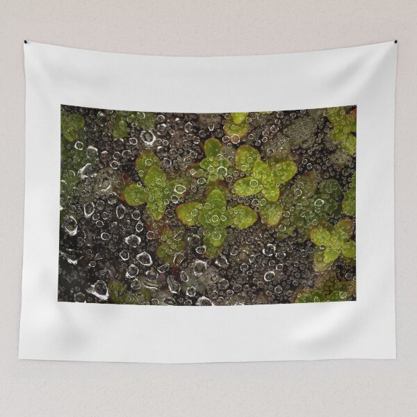 Item preview,  Rain Drops on a Summer Day/ designed and sold by Rob-Turner.