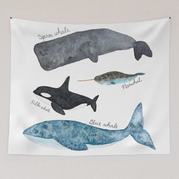 Item preview, A Collection of Whales designed and sold by kslittleworld.