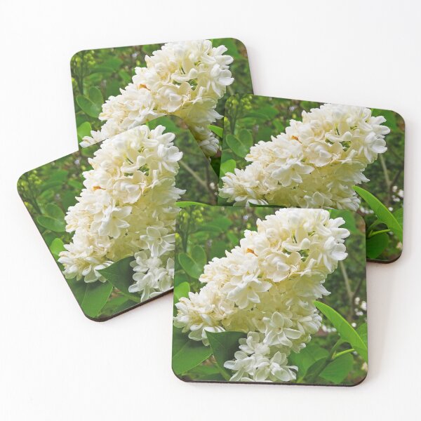 Item preview, A white Lilac flower designed and sold by ArtisticMishaps.