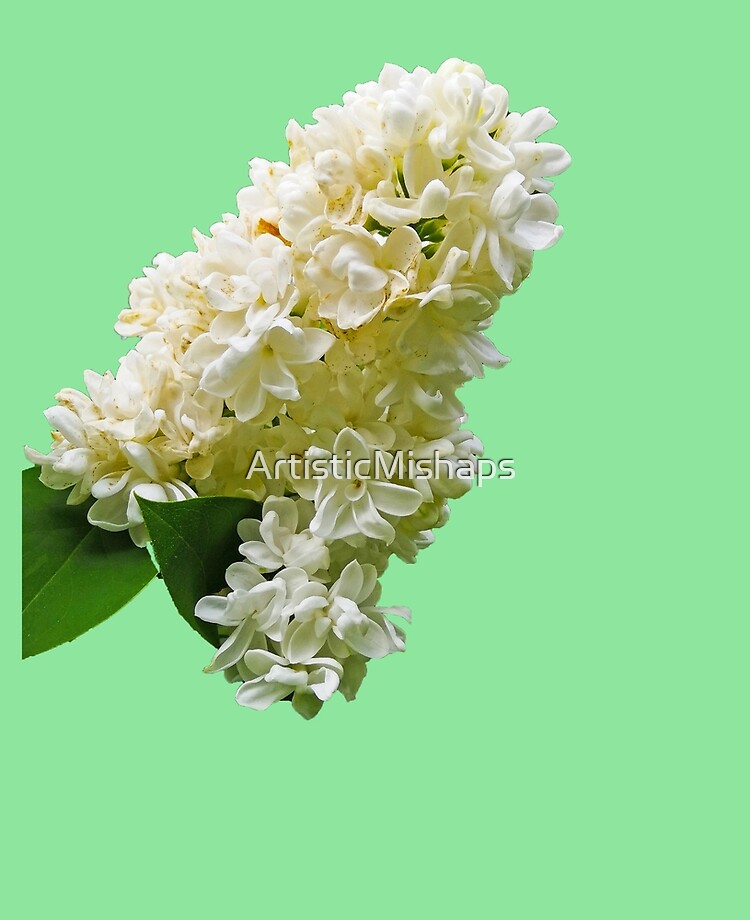 Funda y vinilo para iPad «Una flor lila blanca» de ArtisticMishaps |  Redbubble