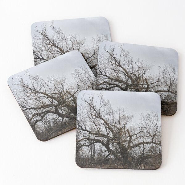 Item preview, Storm and Tree designed and sold by SRosuphotos.