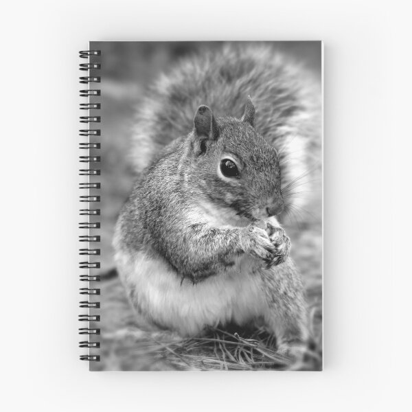 Item preview, Black and White Squirrel Portrait designed and sold by StampCity.