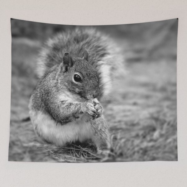Item preview, Black and White Squirrel Portrait designed and sold by StampCity.