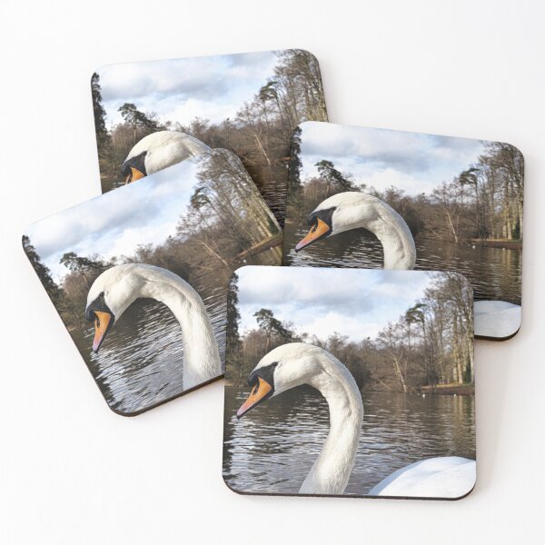 Item preview, Swan Looking Straight Into My Eyes designed and sold by santoshputhran.