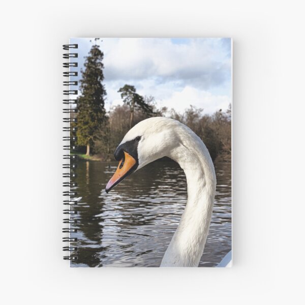 Swan Looking Straight Into My Eyes Spiral Notebook