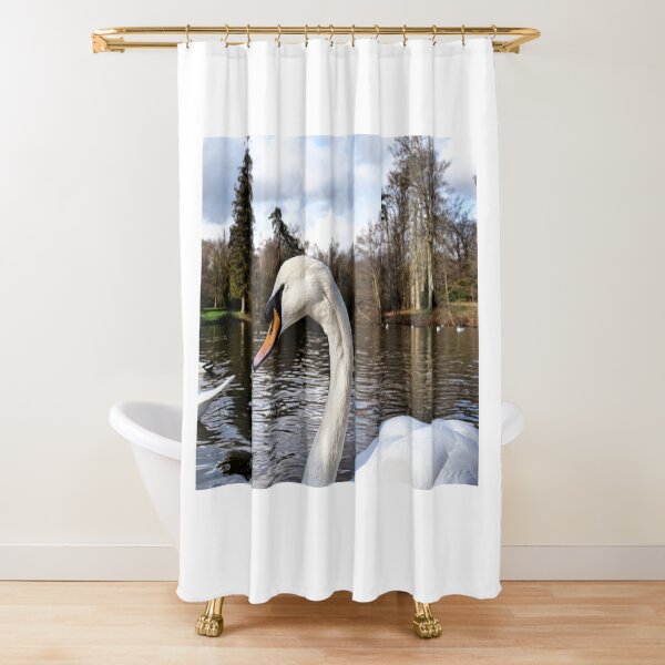 Swan Looking Straight Into My Eyes Shower Curtain