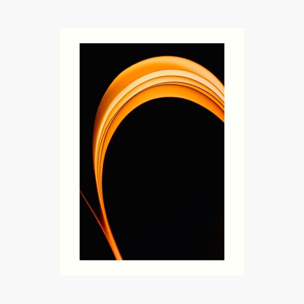 The Dark Curves Art Print