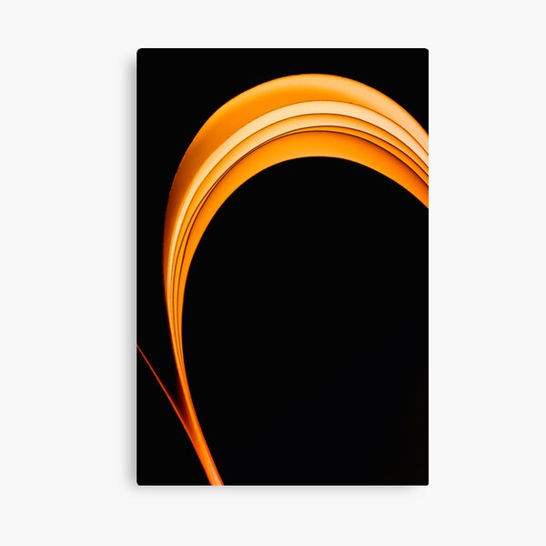 The Dark Curves Canvas Print
