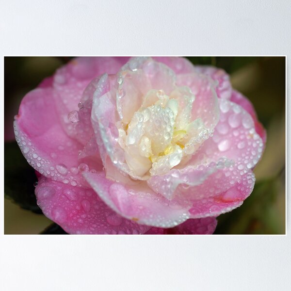 Item preview, It's Raining In My Heart.... designed and sold by Sharon House.