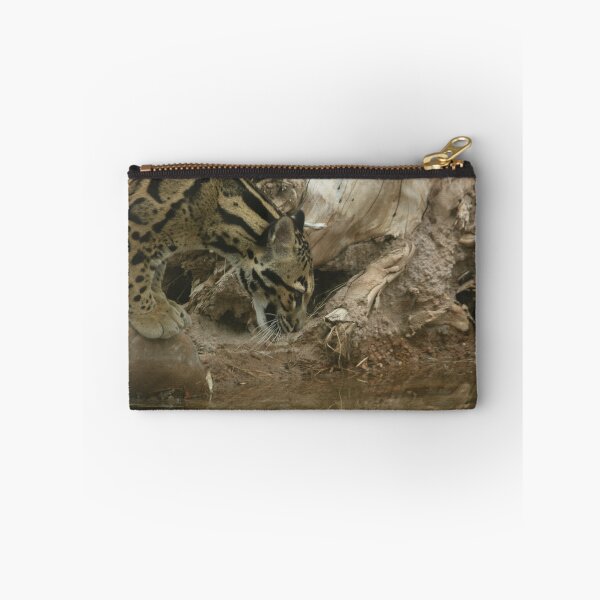 Item preview, Focus designed and sold by beltanemaiden.