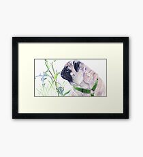 Pug & Nature - Colored Pencil Framed Print