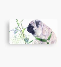 Pug & Nature - Colored Pencil Metal Print