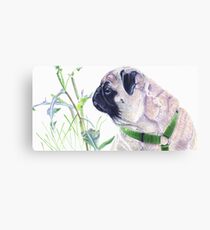 Pug & Nature - Colored Pencil Canvas Print