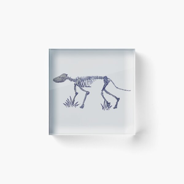 Item preview, Mammalian skeleton designed and sold by RosArt100.