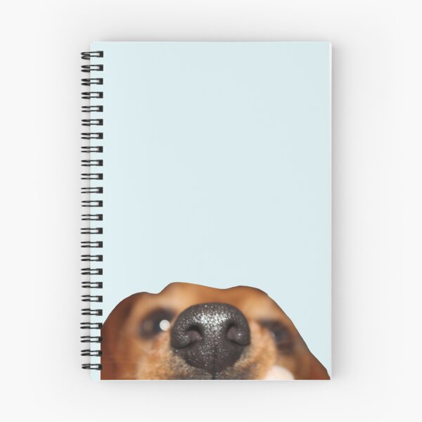 Item preview, mini doxie nose  designed and sold by jessicamegan143.
