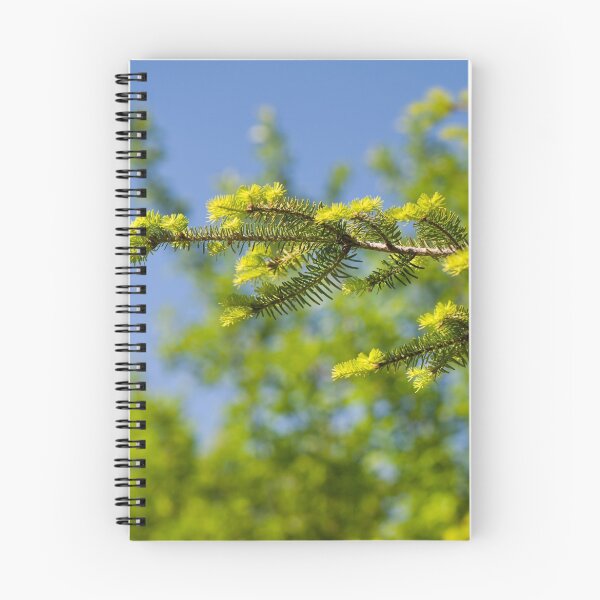 Item preview, Green coniferous new shoots designed and sold by Arletta Cwalina.