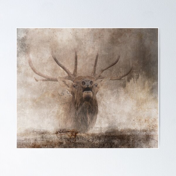 Bugling Bull Elk, cabin decor Poster