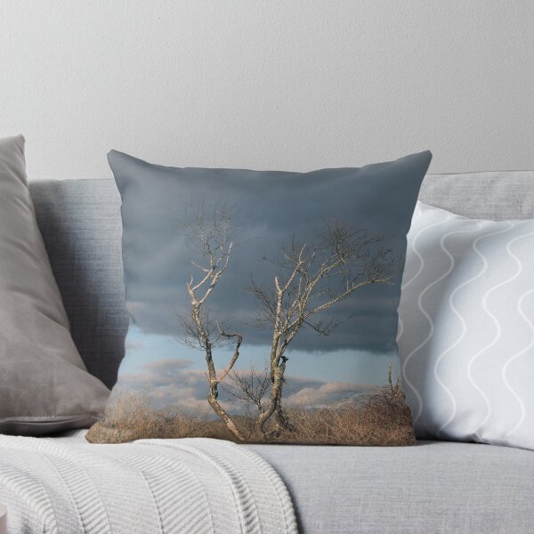 Item preview, Barn Island Winter designed and sold by Maureen Zaharie.