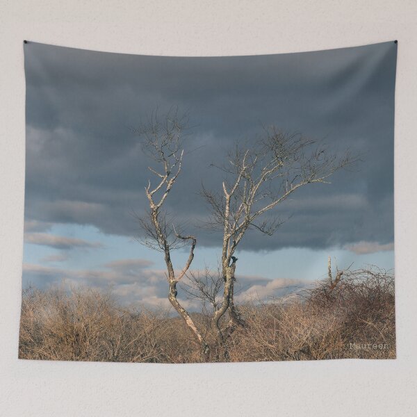 Item preview, Barn Island Winter designed and sold by Maureen Zaharie.
