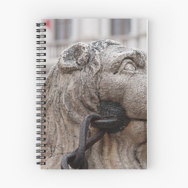 Item preview, Fountain figure piazza vecchia Bergamo Italy designed and sold by distracted.