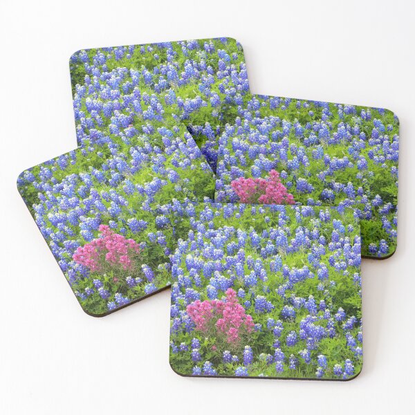 Item preview, Prairie Paintbrush and Bluebonnets designed and sold by Ken Macune.