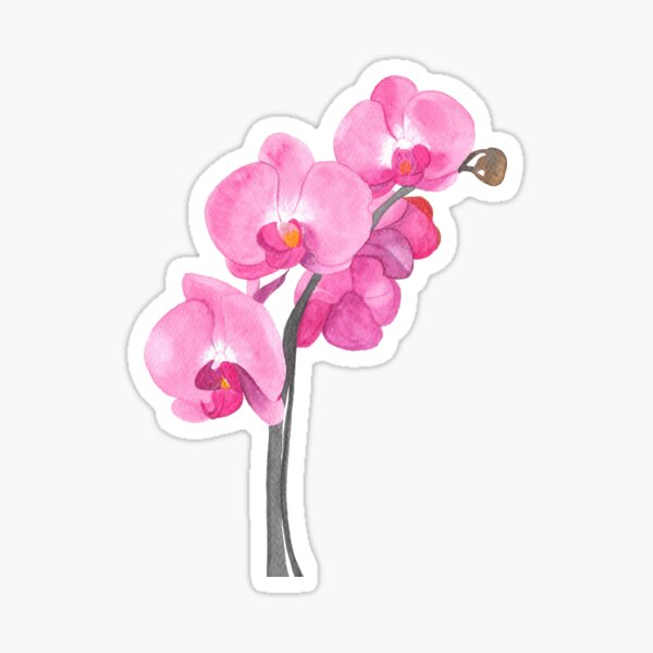Watercolor orchid Sticker