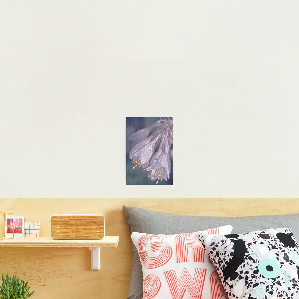Item preview, Photographic Print designed and sold by IngeHG.