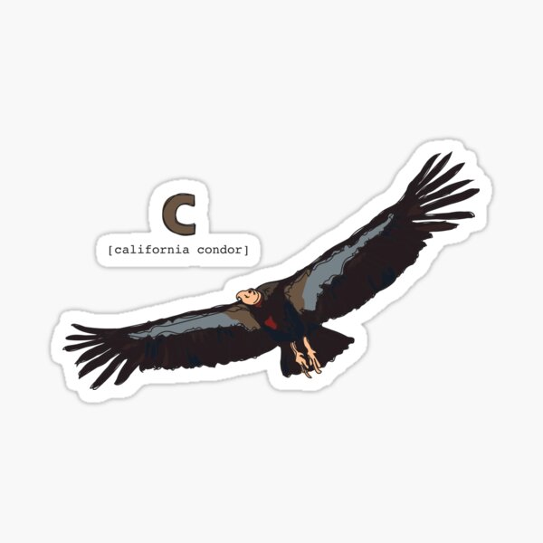 Funky Animal Alphabet: C is for California Condor Sticker