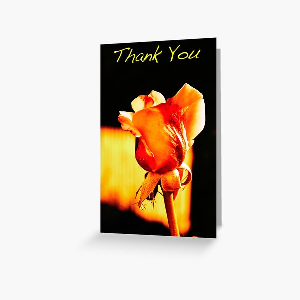 Yellow Rose Thank You Note Greeting Card