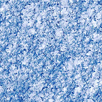 Artwork thumbnail, Pattern #23 by Stas Medvedev