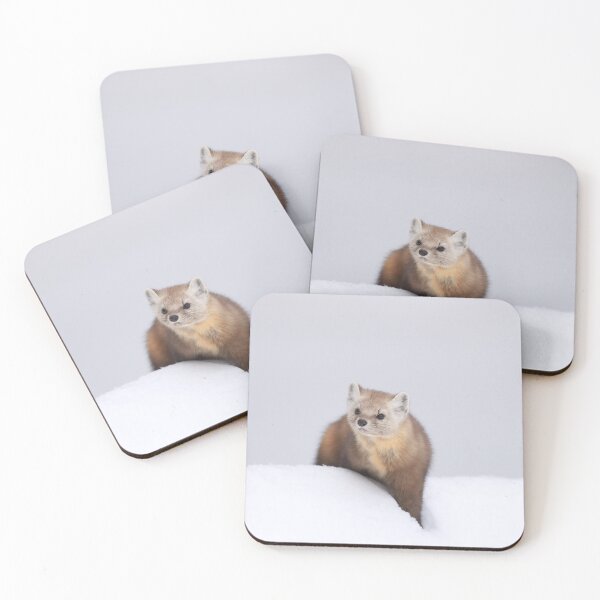Item preview, Pine Marten designed and sold by mlorenz.