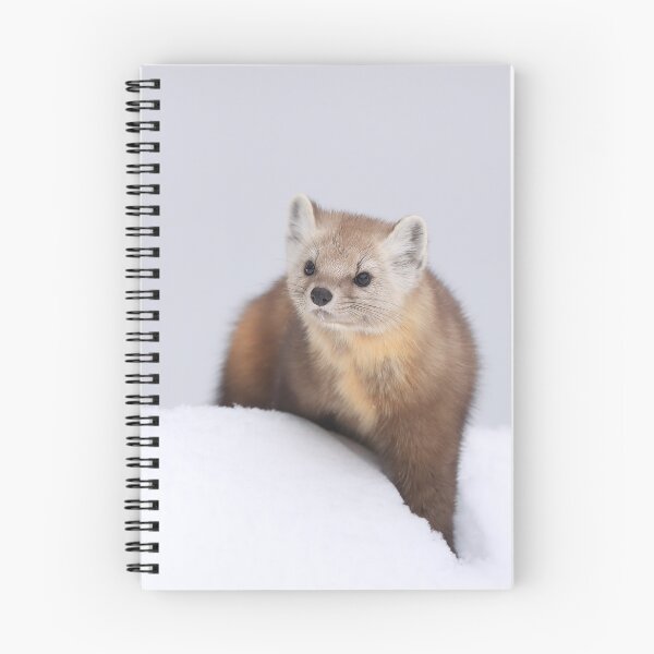 Item preview, Pine Marten designed and sold by mlorenz.