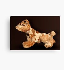 Pet Rock Canvas Print