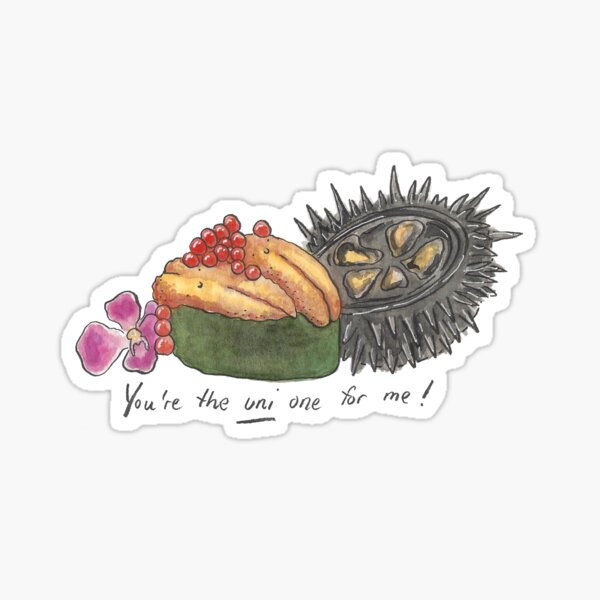 Sushi is my Valentine funny saying with cute sushi illustration perfect  gift idea for sushi lover and valentine's day