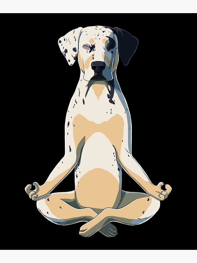 Yoga Catahoula Leopard Dog Art Print