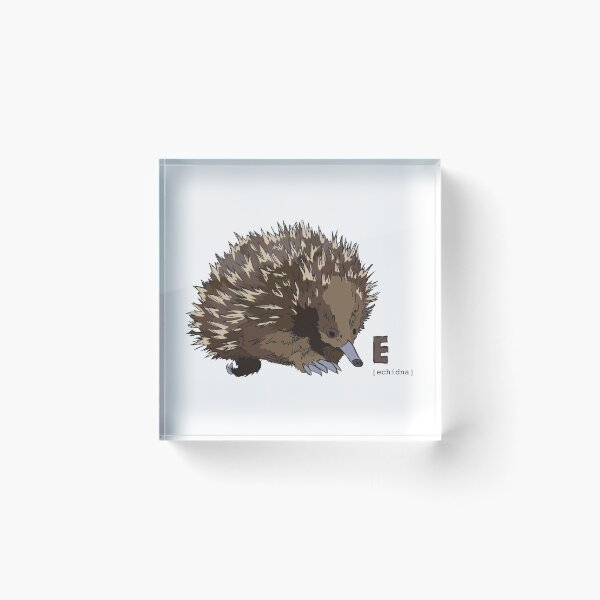 Item preview, Funky Animal Alphabet: E is for Echidna designed and sold by abigailhausman.