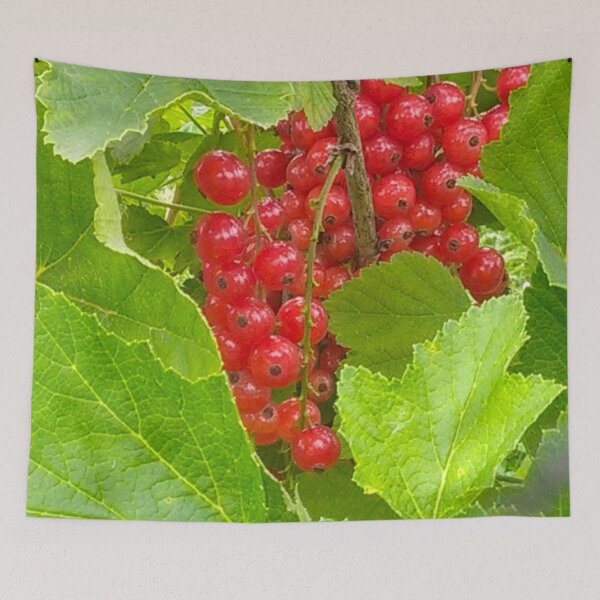 Item preview, Red Currant designed and sold by hajarsdeco.