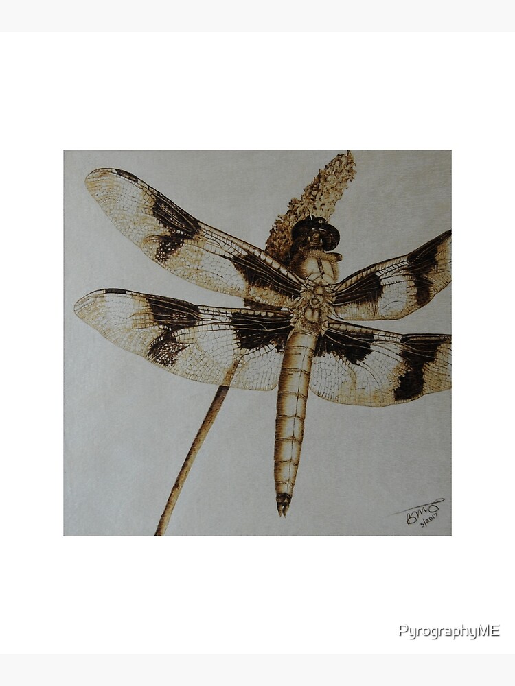 Dragonfly on Wood Panel Canvas Pyrography Art wood burning – Pyrography  Made Easy