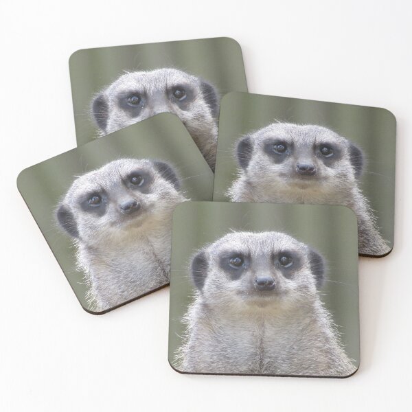 Item preview, Meercat staring designed and sold by Keithydee.