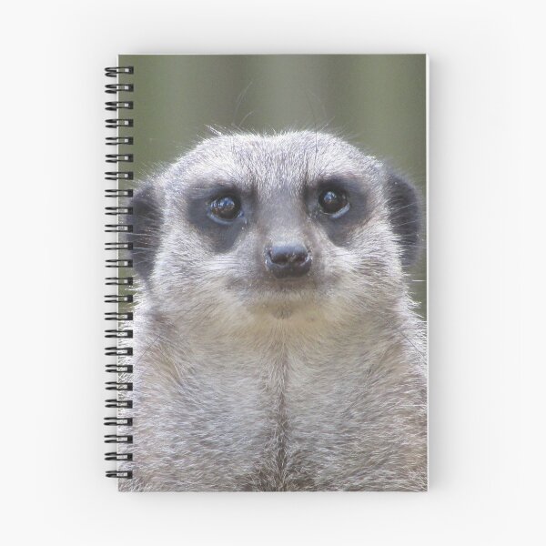 Item preview, Meercat staring designed and sold by Keithydee.