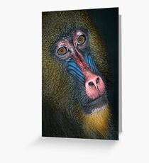 Mandrill's Portrait Greeting Card