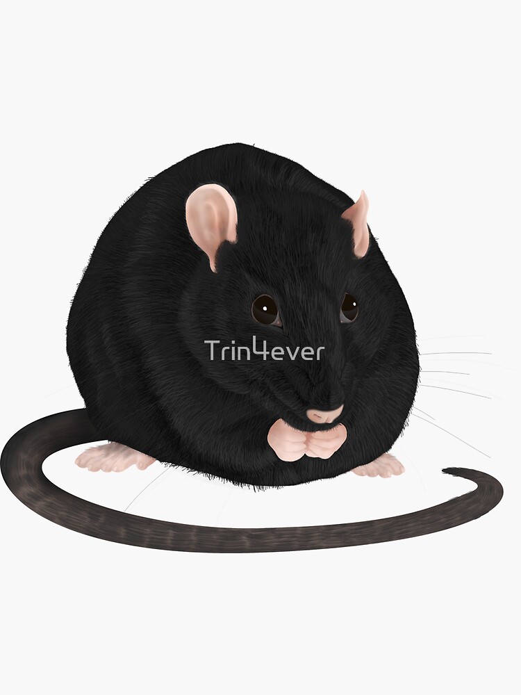 Cookie the Rat by Trin4ever