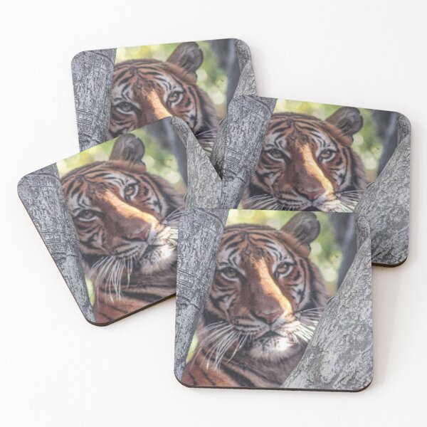 Item preview, Cat's Eye View designed and sold by Bob Hardy.